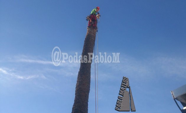 Foto de Podas Pablo MAteos