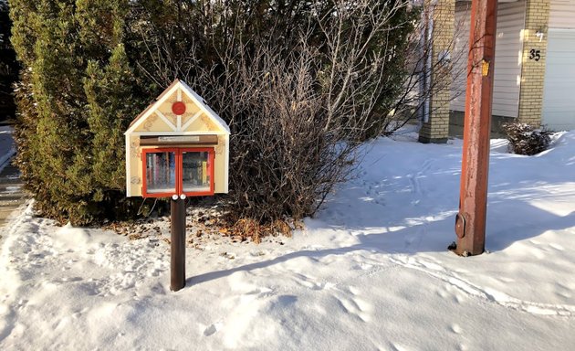 Photo of Little Free Library Charter #39208