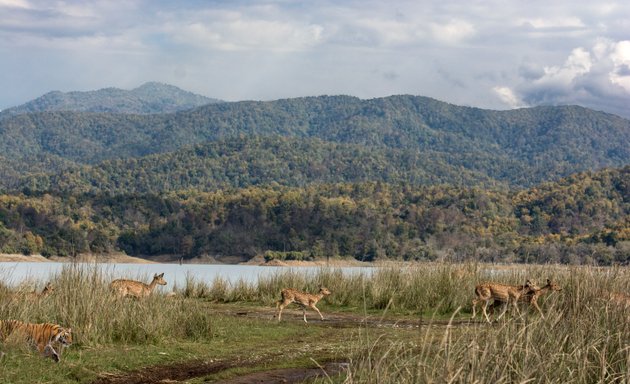 Photo of The Ecological Cascades Lab (CI: Dr Matthew Luskin)