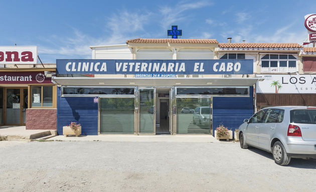Foto de Clínica Veterinaria El Cabo - Hospital veterinario urgencias 24h Alicante.