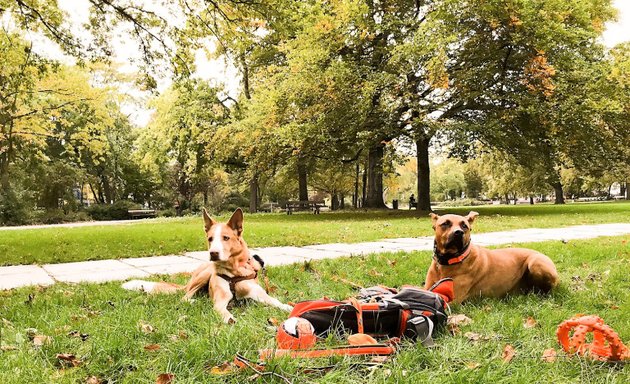 Foto von HundGut.Treffpunkt Moabit Kleiner Tiergarten