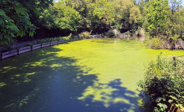 Photo of Enfield Town Park