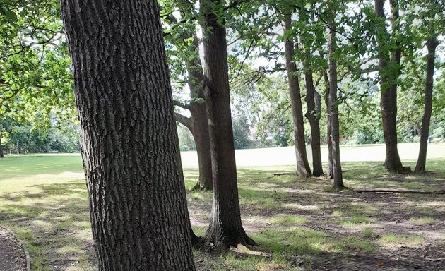 Photo of Montesole Playing Fields