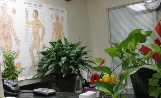 Photo of Minda Natural Health & Acupuncture Clinic