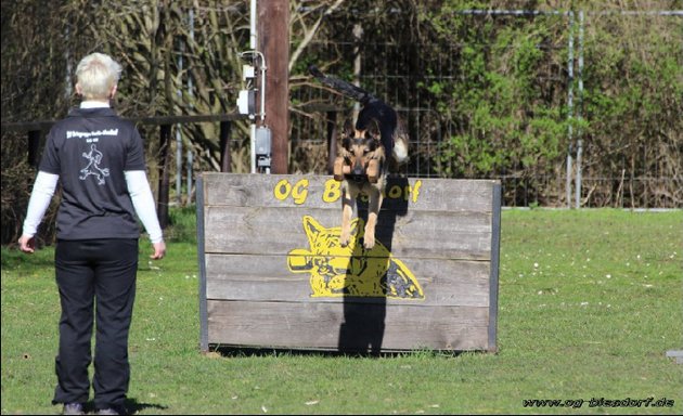 Foto von Hunde Sportplatz - An der Wuhle