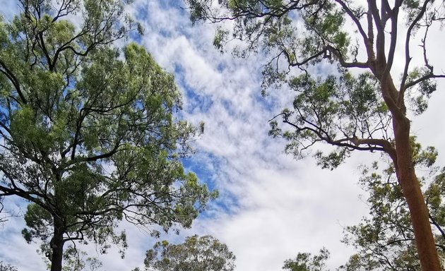 Photo of Boorabbin Picnic Ground Park