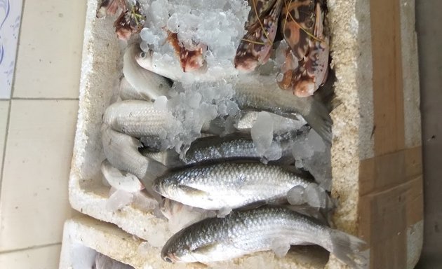Photo of Taher Sea Foods