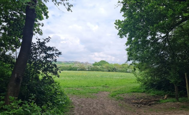 Photo of Fryent Country Park