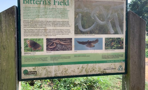 Photo of Bittern's Field