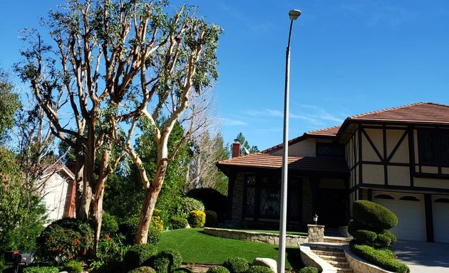 Photo of Granada Tree Service