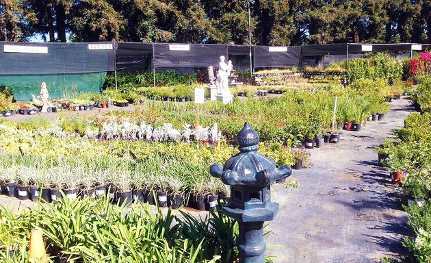 Photo of Central Wholesale Nursery