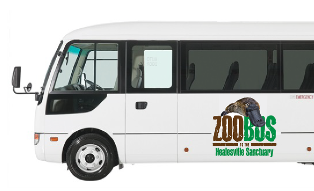 Photo of Zoobus