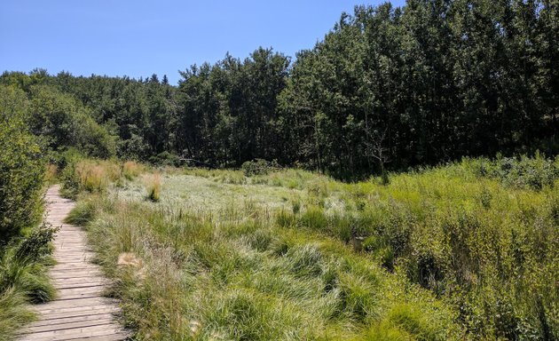 Photo of Strathcona Ravine