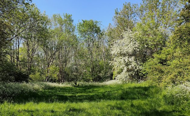 Photo of Coulsdon Coppice