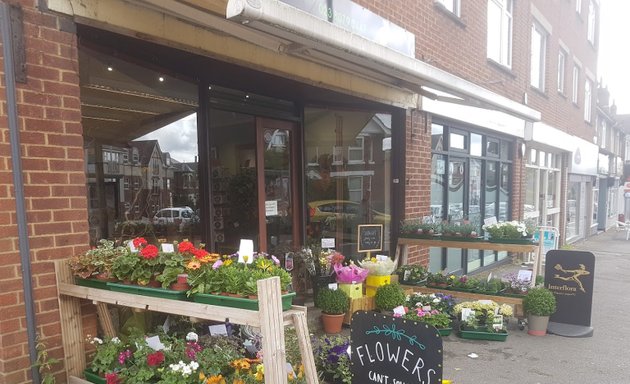 Photo of Florists Bassett - The Flower Shop in Southampton