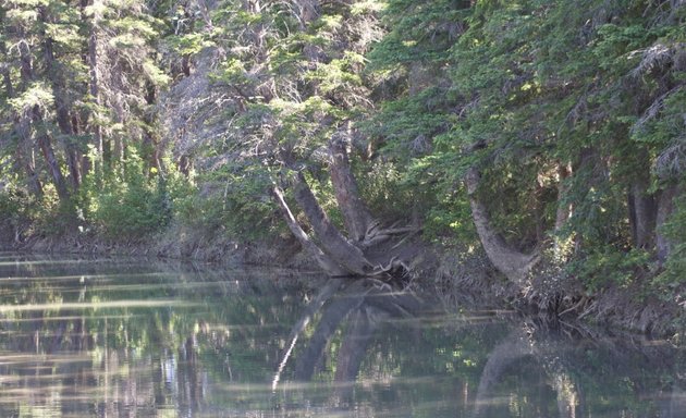 Photo of Griffith Woods Park