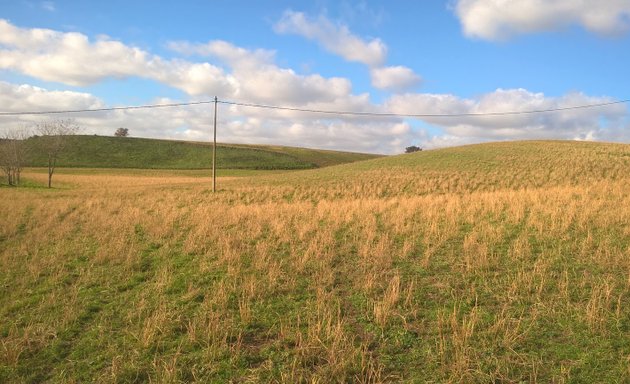 foto Casale della tenuta Falcognana di Sotto