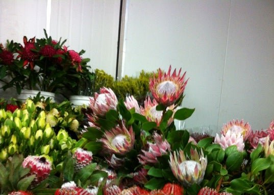 Photo of Brisbane Market Flowers