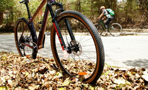 Foto de Bicicletas Montelite