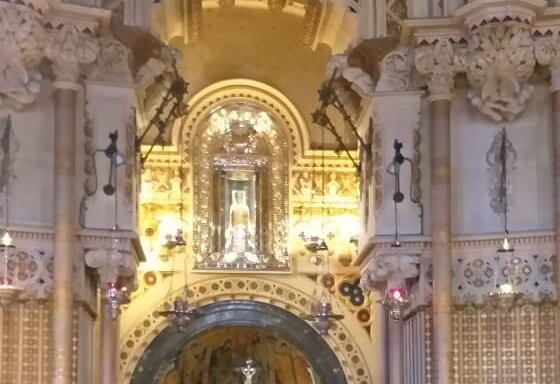 Foto de Diaverum Barcelona Virgen de Montserrat