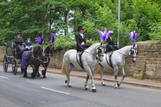 Photo of A Day to Remember Carriage Hire