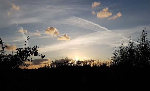 Photo of East Finchley Allotment