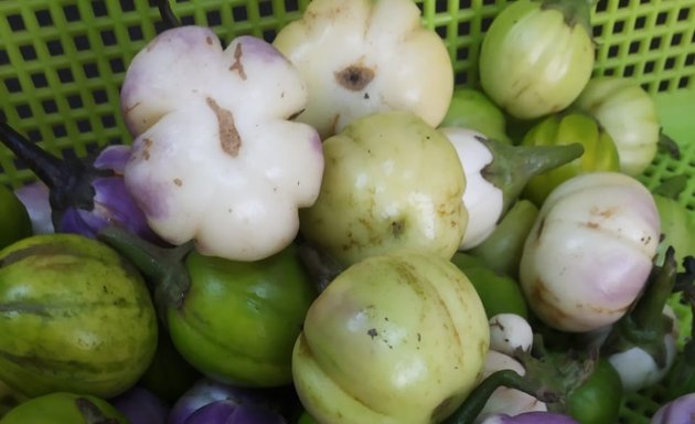 Photo of Manipur indigenous food supplier