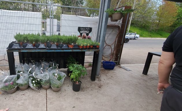 Photo of Earlscourt Market Garden