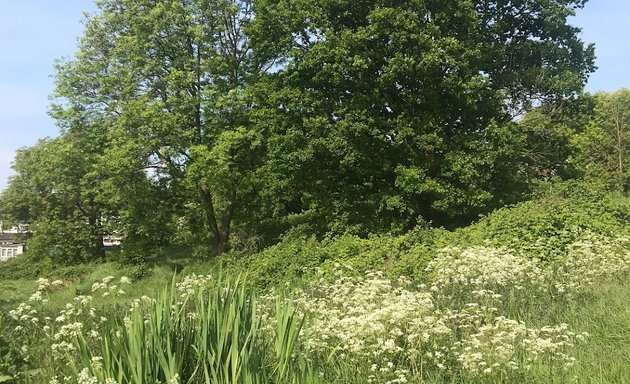 Photo of Whitehorse Meadow