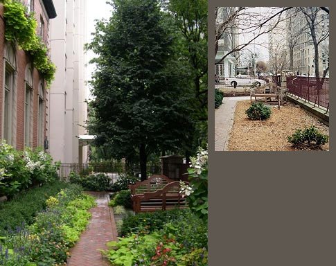 Photo of Spiegelberg Landscape Design, Inc.