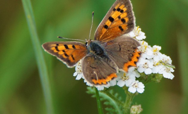 Foto von NAJU (Naturschutzjugend im NABU), Bundesgeschäftsstelle