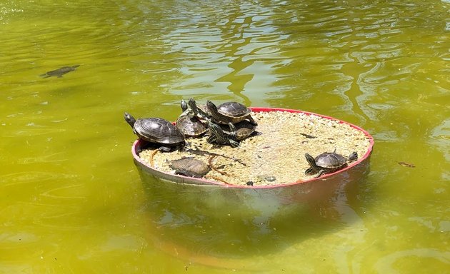 Foto de Parqueo Parque Zoológico Nacional