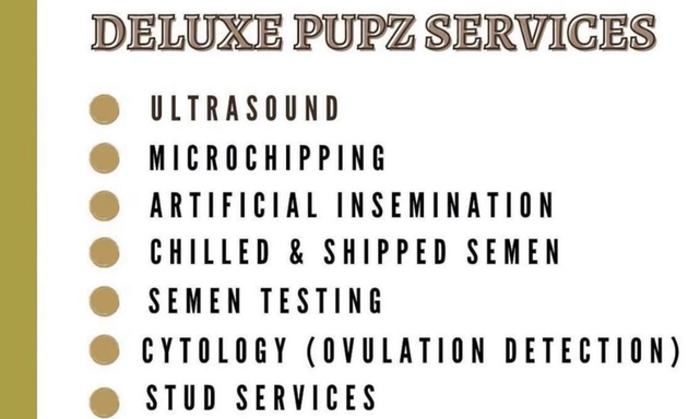 Photo of Deluxe Pupz Pet Ultrasound & Microchipping Southampton