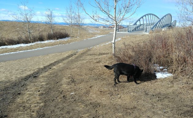 Photo of Scenic Acres Off Leash Area