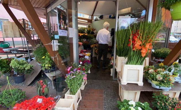 Foto von Blumen Pavillion