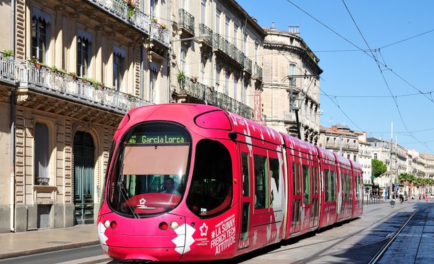 Photo de Hôtel de France