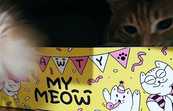 Photo of mymeow.co.uk