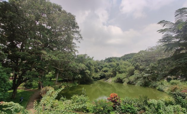 Photo of Lotus Pond - Lalbagh
