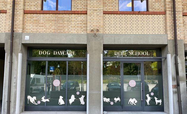 Foto von PUP AFFAIR dog school & daycare Zurich