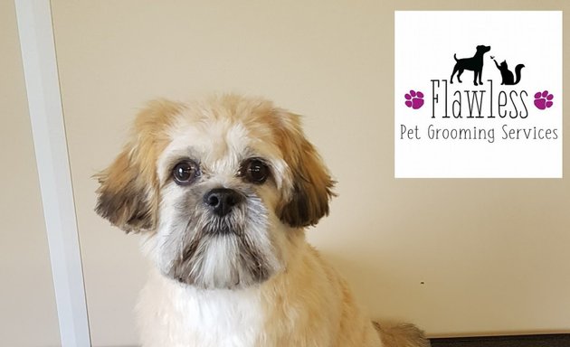 Photo of Flawless Dog and Pet Grooming Services
