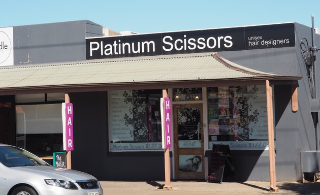 Photo of Platinum Scissors