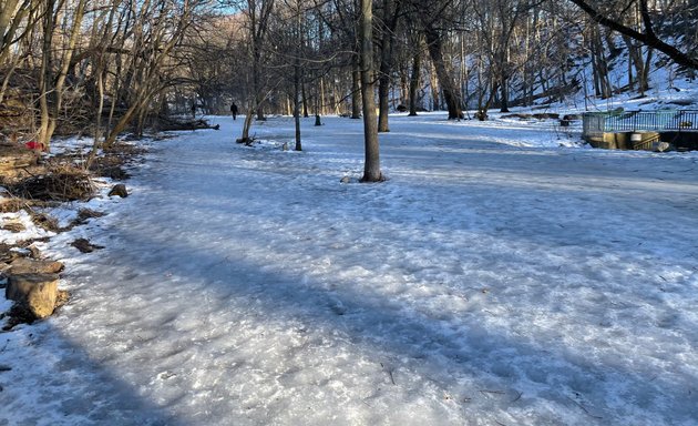 Photo of Blythwood Ravine Park