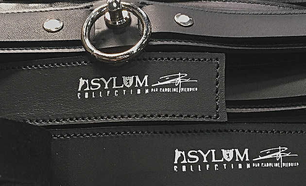 Photo de Asylum