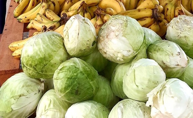 Foto de Feria Agrícola Parque Las Rocas