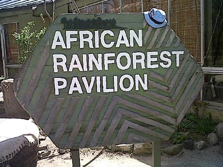Photo of African Rainforest Pavilion