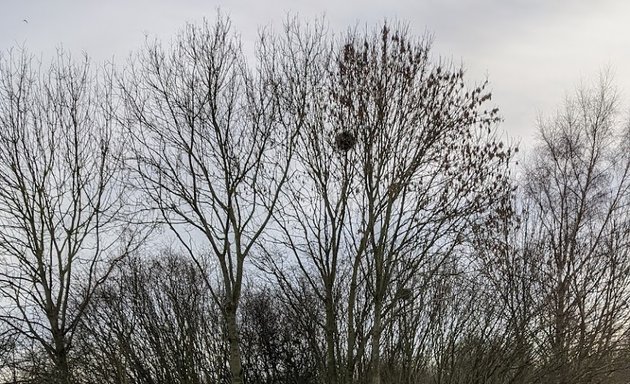 Photo of Spud Wood Car Park