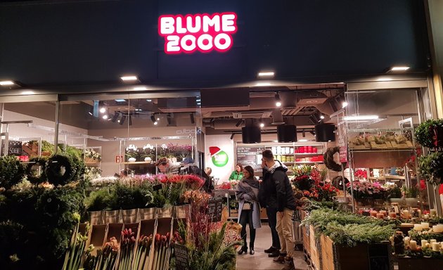 Foto von Blume 2000 Köln Gürzenichstr.