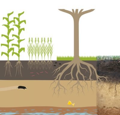 Foto von Erfurth Kluger Infografik GbR