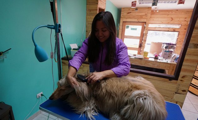 Foto de Mimados Peluquería Canina