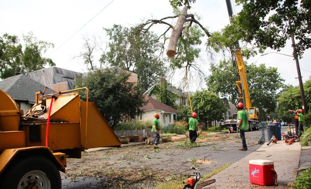 Photo of Croft Tree Experts